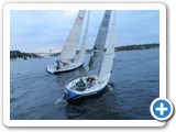 Weekly Duck Dodge sail boat race on Lake Union