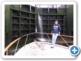 In the Ballard Locks, Aug 2012