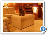 Misha in the Salon