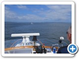 Heading to Port of Poulsbo, July 2013